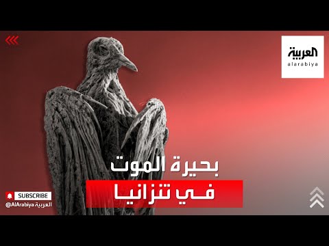  العرب اليوم - شاهد: بحيرة في تنزانيا تقتل من يشرب منها