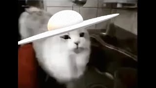 Cover art for FNF FULL COMBO