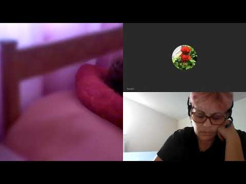 RO-301.Elena,Viol in viata Trecuta si Programare KarmaticaH. R.E. LASCU coord. si C. MORARU telepat