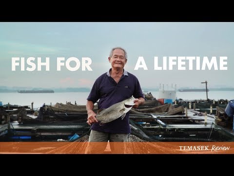 Fish For A Lifetime