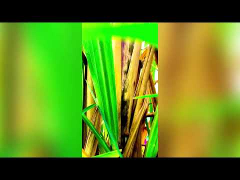 Jamider vidos desi 1K ✅✅ ￼ youtube video like 👍❤️❤️😇😇 youtube ￼😘😘 ￼ 2023