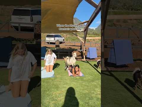 NEW VIDEO!!! When the Mystery Box controls you’re day…🎁