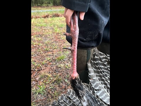 Don and Diane Shipley LIVE - April 13th at 1800 EST Thumbnail