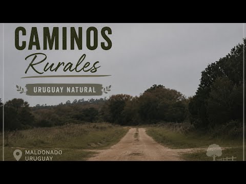 Camino rural largo en Maldonado: tramos en mal estado.