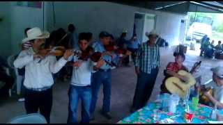 preview picture of video 'Mariachi tradicional del santuario Son de mi tierra'