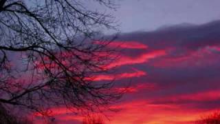 Trevor Hall - Bharat