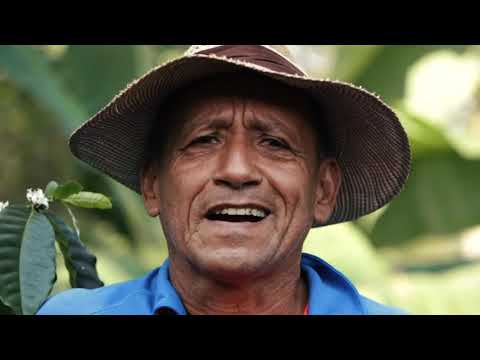 Global Virtual Coffee Festival 2020