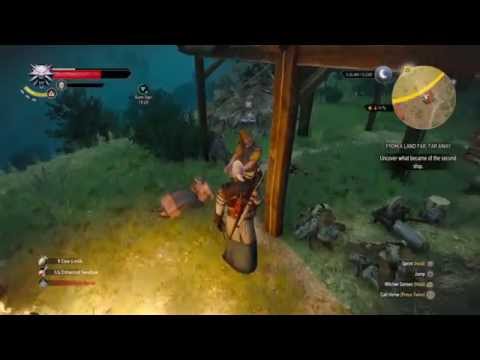 The Witcher 3: Wild Hunt Playthrough pt. 102 - He Who Walks The Path