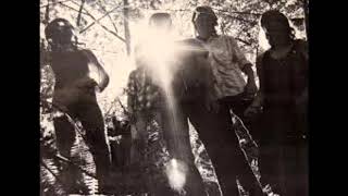 Disamistade - The Walkabouts