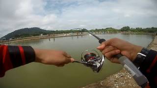 Shimano 16 stradic ci4 c3000