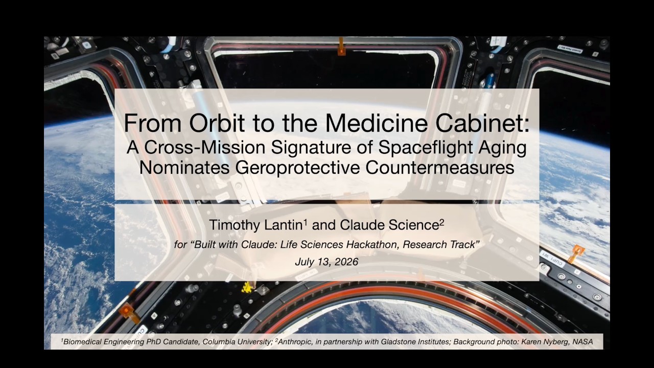 Tim Lantin project preview