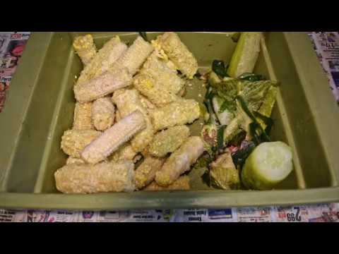 Skipped feeding all but my newest, 3-week old bin