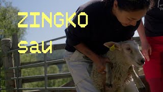 Zingko - Fra fashion til sauegjeter
