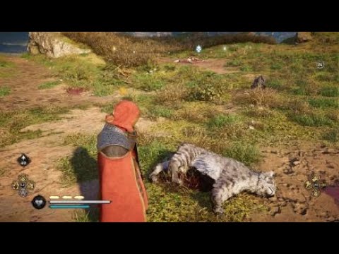 Assassin's Creed® Valhalla Rank 400 in 1 hour ultra fast skillpoints farm spot