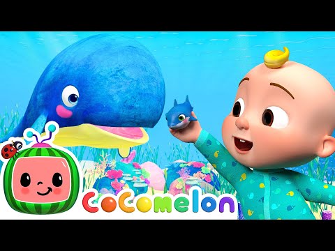 JJ's Baby Blue Whale Lullaby | CoComelon Animal Time | Animals for Kids