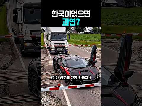한국이었으면 과연? #자동차 #운전