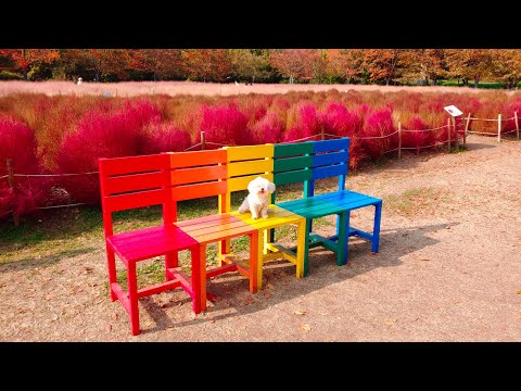 1034.Busan Hwangnyeong Tunnel Manager WEPED SST reveals ignorance that tunnel entry is not allowed