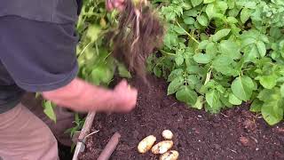 showers, showers, showers. I LOVE  IT.