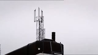 WiFi: A Warning Signal (BBC Panorama)