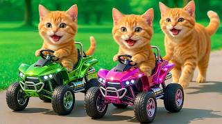 Download lagu Kittens Drive Super Speed Monster Trucks 🚓 on a Revenge Mission to Rescue Mama Cat from a Bully 💥🐱 mp3