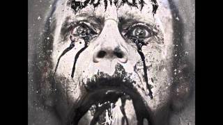 Die Die My Darling Music Video