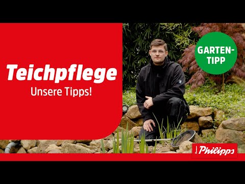 Teichpflege - Unsere Tipps