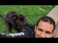 https://www.youtube.com/watch?v=3C-Q8n_j8ZA