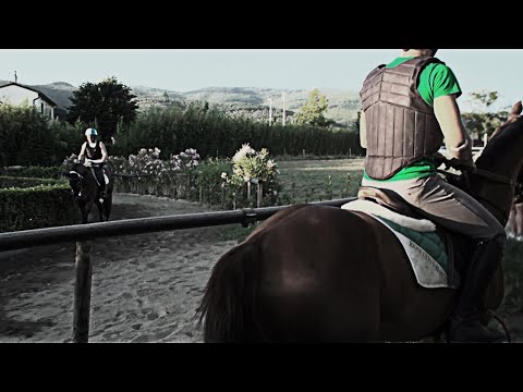 Dentro la Giostra - Cervo Bianco