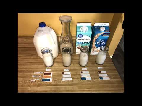 Bus 2200 Global Warming