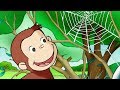 Curious George Curious George Web Master Kids Cartoon Kids Movies Videos For Kids