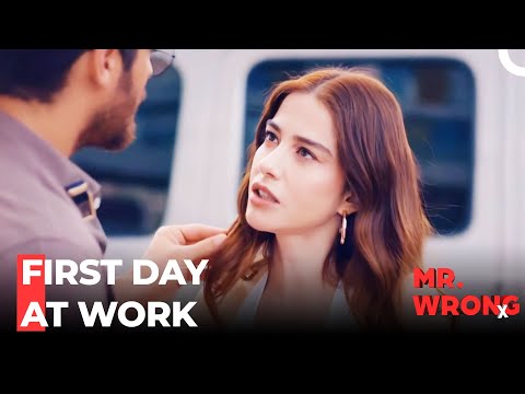 The Great Plan Continues - Mr. Wrong