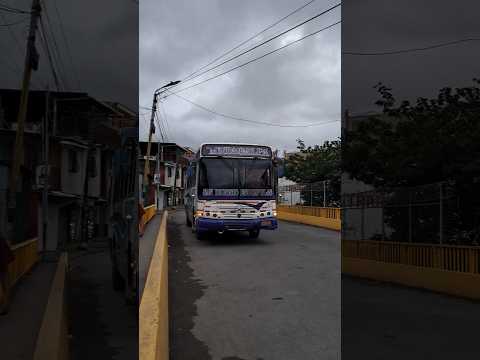 Transporte San Pedro Matagalpa San Dionisio Esquipulas