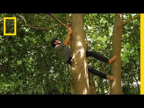 Fake Talk Show | Going Deep With David Rees: Deleted Scene