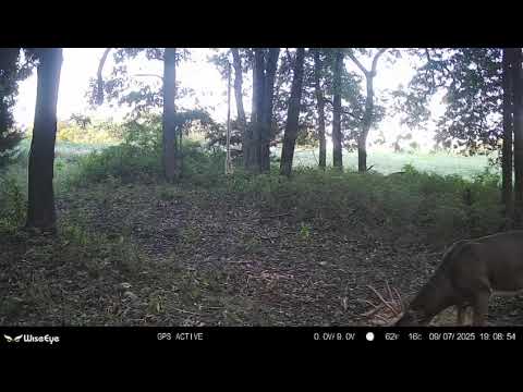 Really Nice 10 on the Ridge