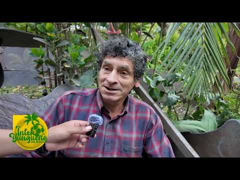 LA PLANTA- IRUPANA - EL EDEN