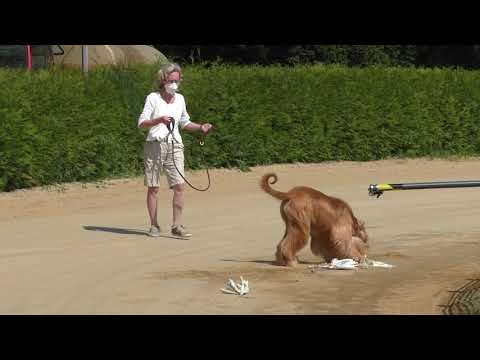 Hansa Union Rennen 2021 Teil 1