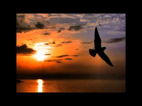 Souldoubt - Chilldoubt