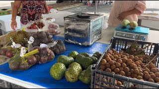 Asian Farmer's Market Icot Blvd at Clearwater, FL 2022