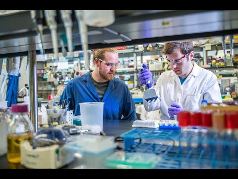 Introduction to Mass Transfer Operations Trailer