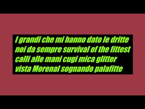 03. Francesco Gucino