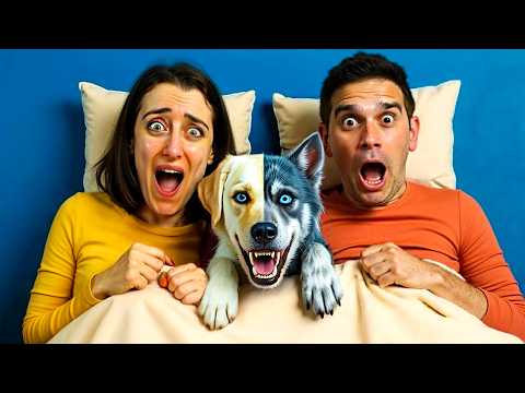 IL MIO CANE SI È TRASFORMATO IN LUPO MANNARO!!!!*STORIE PAUROSE*