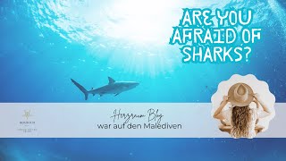 Snorkeling at Riu Maldives (Palace &amp;amp; Atoll) – Manta Ray &amp;amp; Reef Shark direkt am Strand