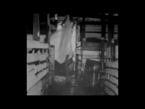 Lisa Alma - Magic Power