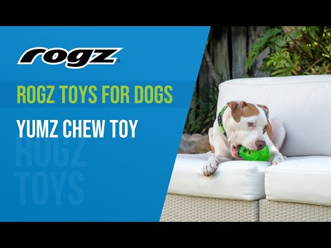 Rogz Yumz žaislas kaulas kramtymui raudonas 15cm video