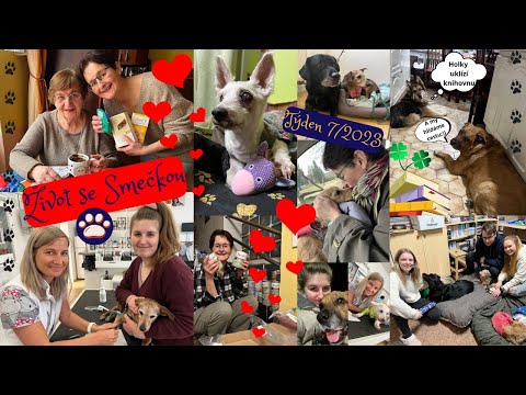 ŽIVOT SE SMEČKOU 🐾 Týden 7/2023 🐶