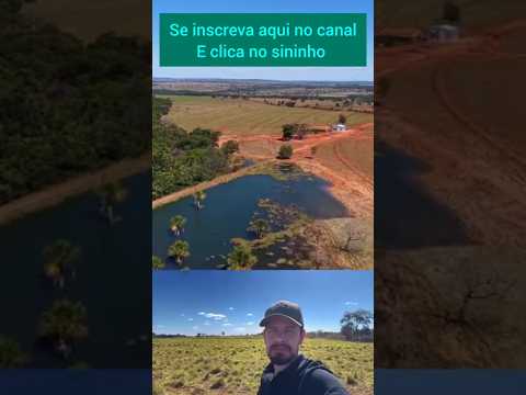 Fazendão de 150 alqueires em Itarumã Goiás #brasil #mercadoagricola #fazenda #agro #pecuarista