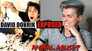 Pet Youtuber Reacts to David Dobrik Animal Pranks (Shocking) by Tyler Rugge