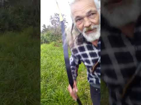 53" Assyrian Traditional Laminated Archery Recurve Bow HuntingDoor.com