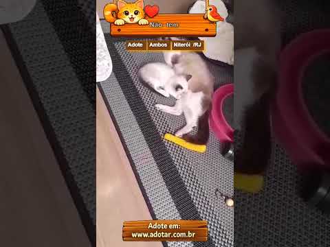 Vídeo de Sem nome