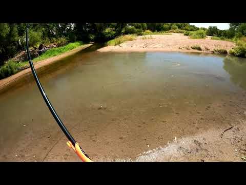 Rodzilla straightening hooks on big carp Tenkara fishing